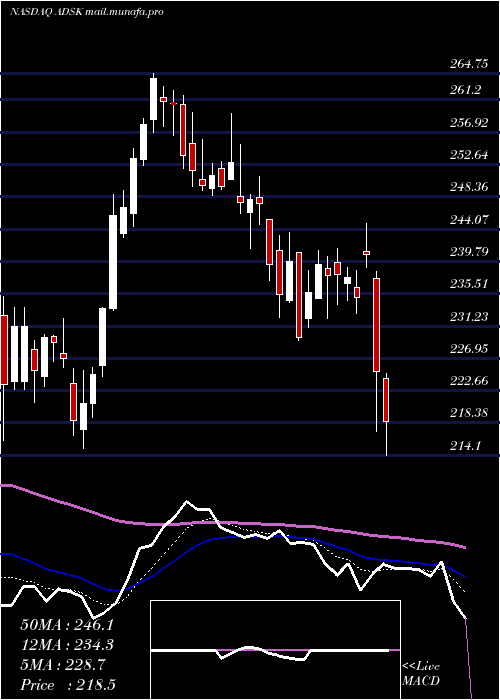  Daily chart AutodeskInc