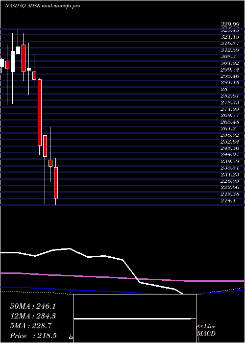  monthly chart AutodeskInc
