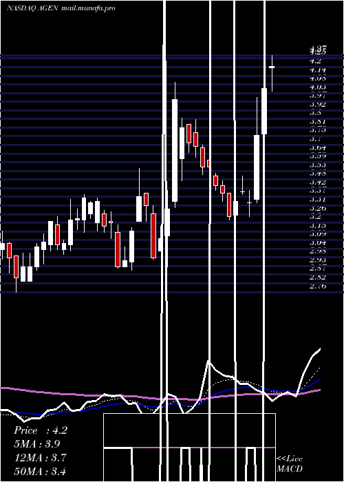  Daily chart AgenusInc