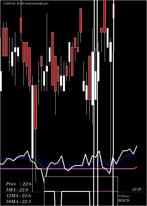  Daily chart WisdomtreeInterest