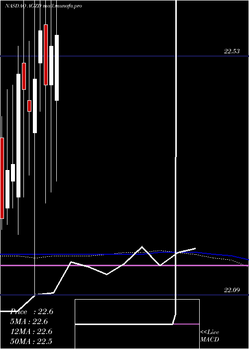  monthly chart WisdomtreeInterest