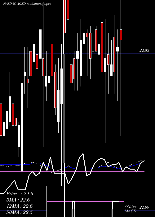  weekly chart WisdomtreeInterest