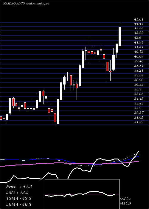  weekly chart AlicoInc