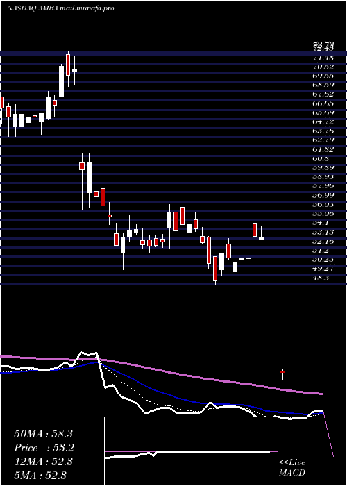  Daily chart AmbarellaInc