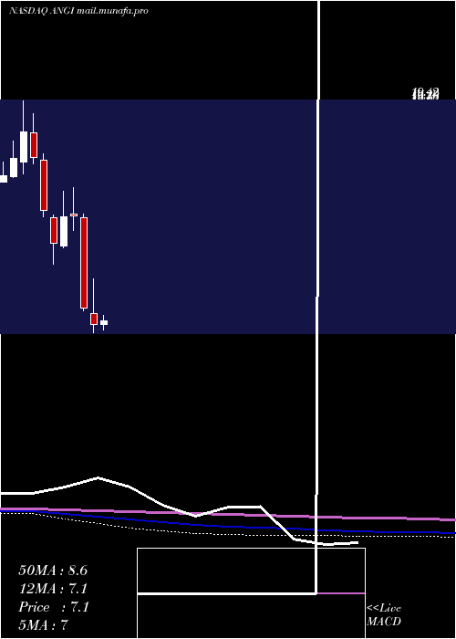 monthly chart AngiHomeservices