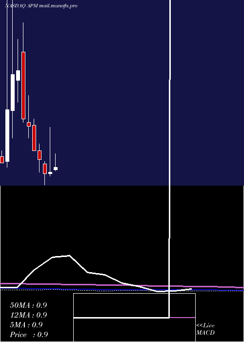  monthly chart AptorumGroup