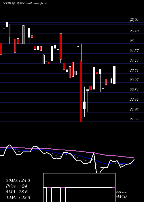  Daily chart AuburnNational