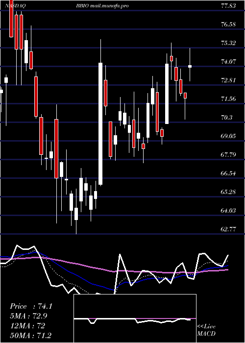  Daily chart BridgebioPharma