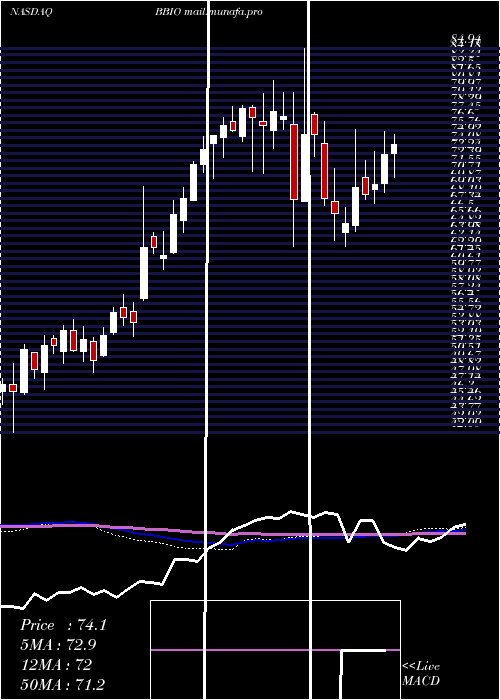  weekly chart BridgebioPharma