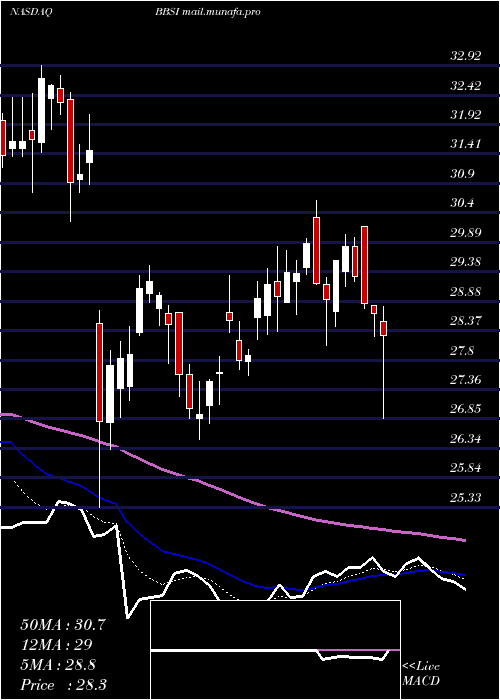 Daily chart BarrettBusiness