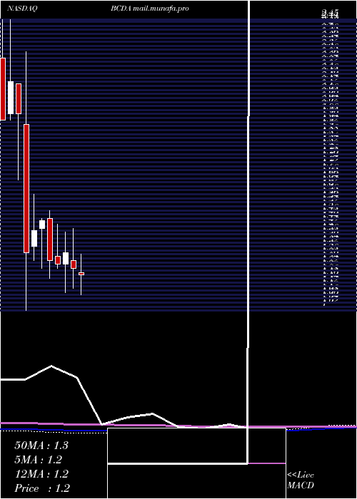  monthly chart BiocardiaInc