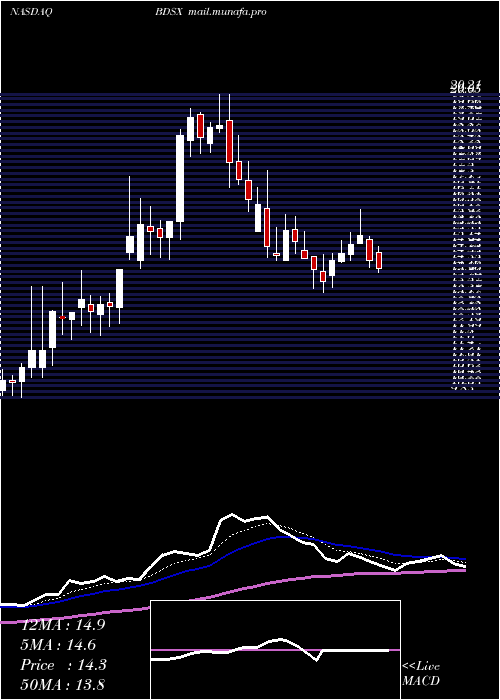  Daily chart BiodesixInc