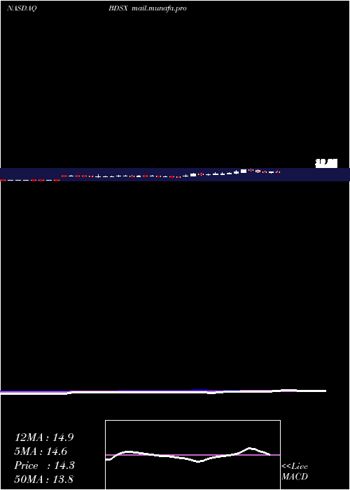  weekly chart BiodesixInc