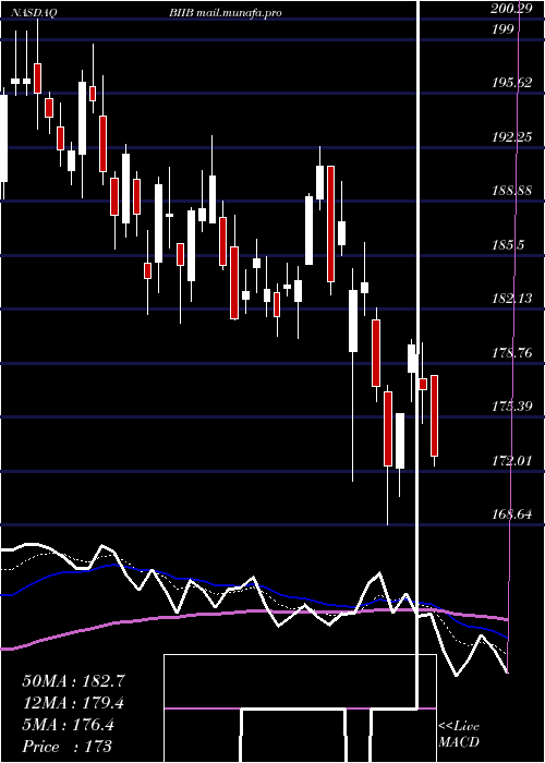  Daily chart BiogenInc