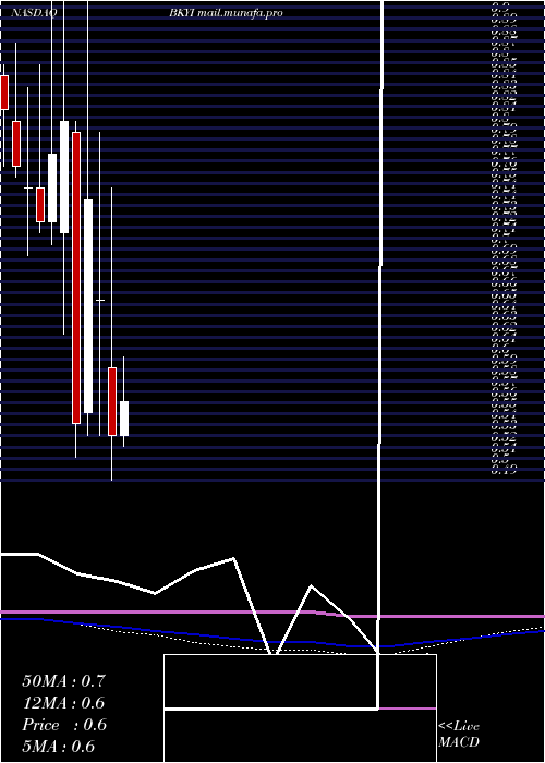  monthly chart BioKey
