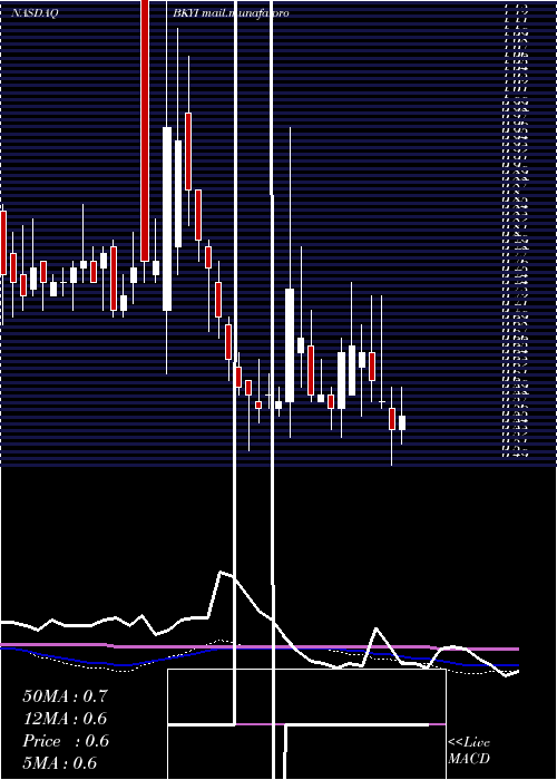  weekly chart BioKey