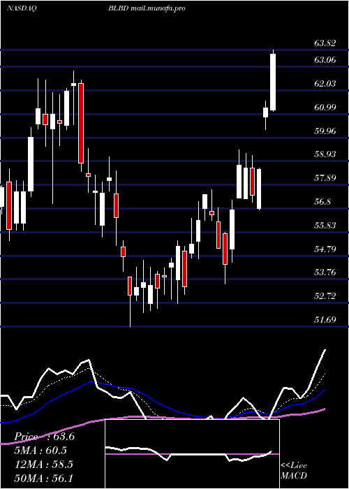  Daily chart BlueBird