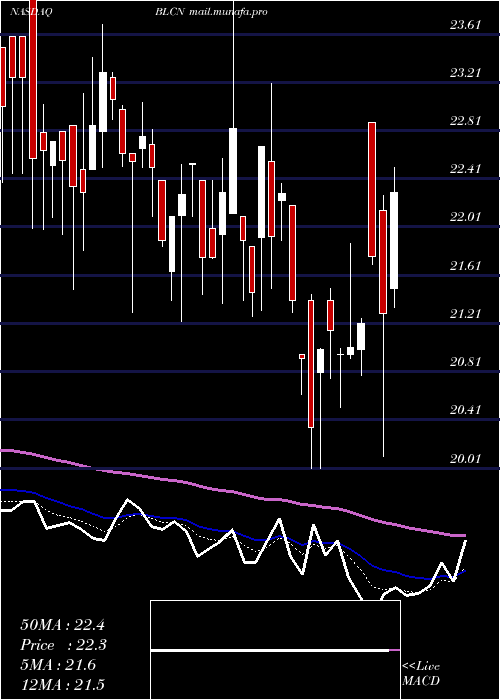  Daily chart RealityShares