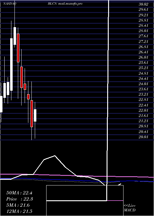  monthly chart RealityShares