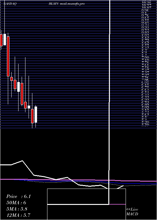  monthly chart BloominBrands