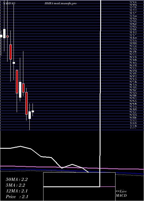  monthly chart BiomericaInc