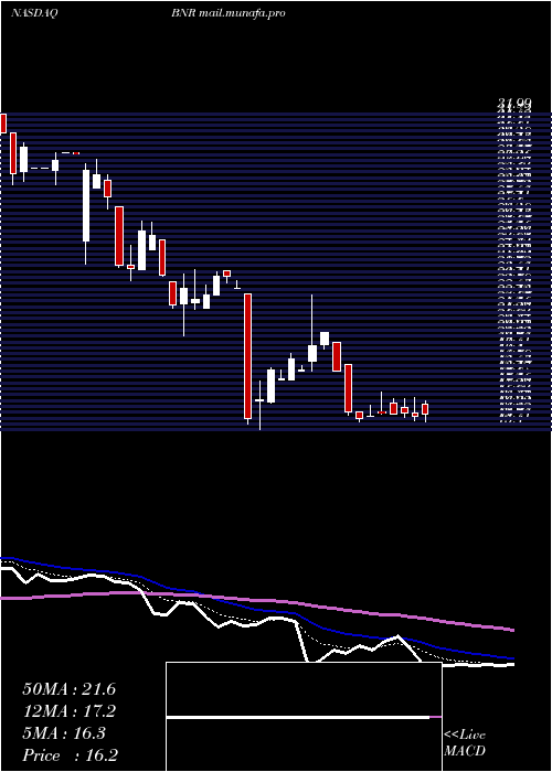  Daily chart BurningRock