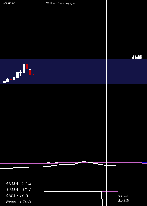 monthly chart BurningRock