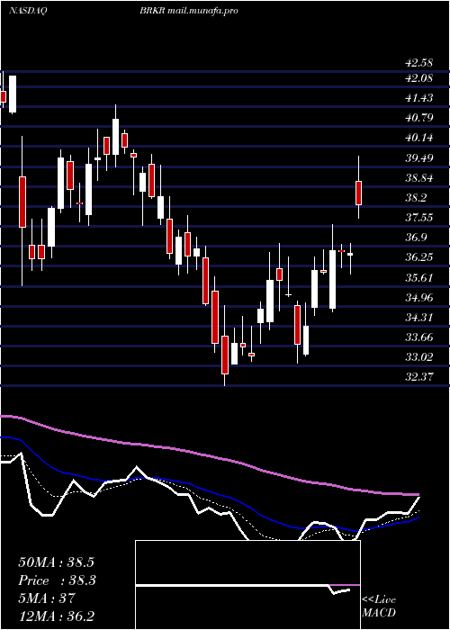 Daily chart BrukerCorporation