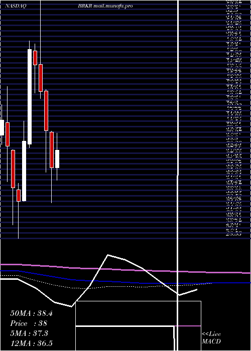  monthly chart BrukerCorporation