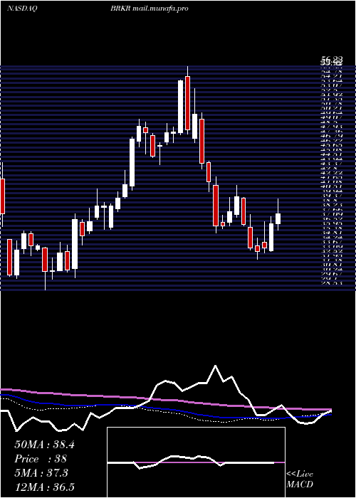  weekly chart BrukerCorporation