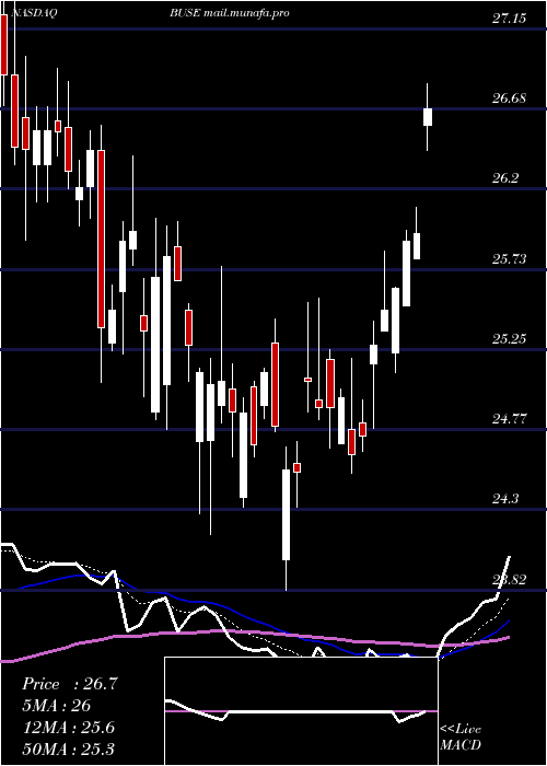  Daily chart FirstBusey