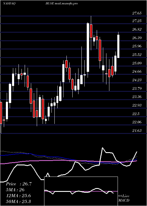  weekly chart FirstBusey