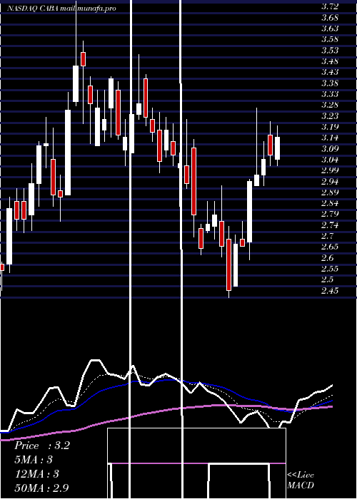  Daily chart CabalettaBio