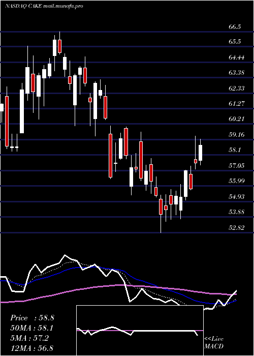  Daily chart CheesecakeFactory