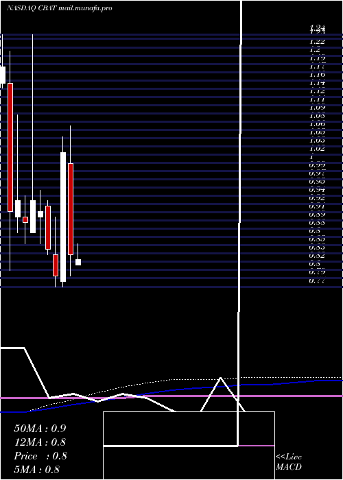  monthly chart CbakEnergy