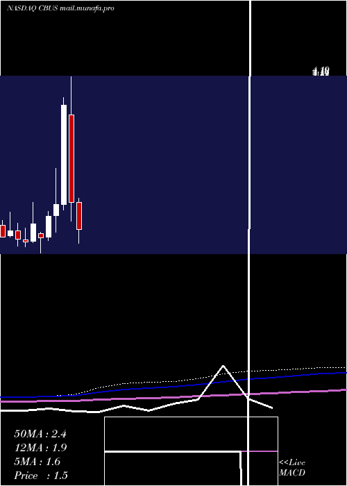  monthly chart CibusCorp