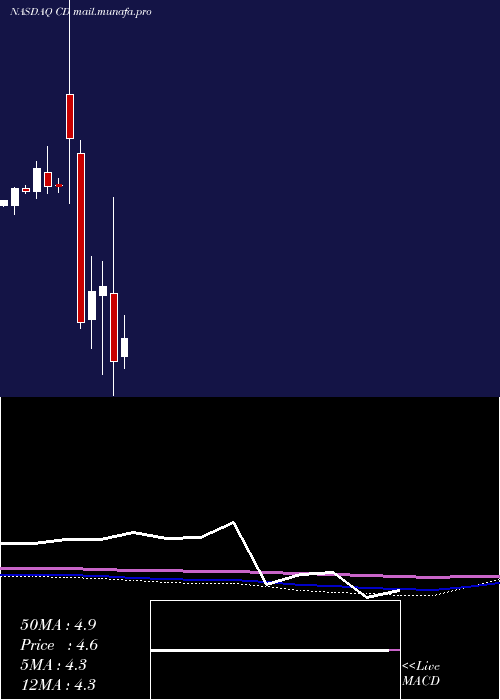  monthly chart ChindataGroup
