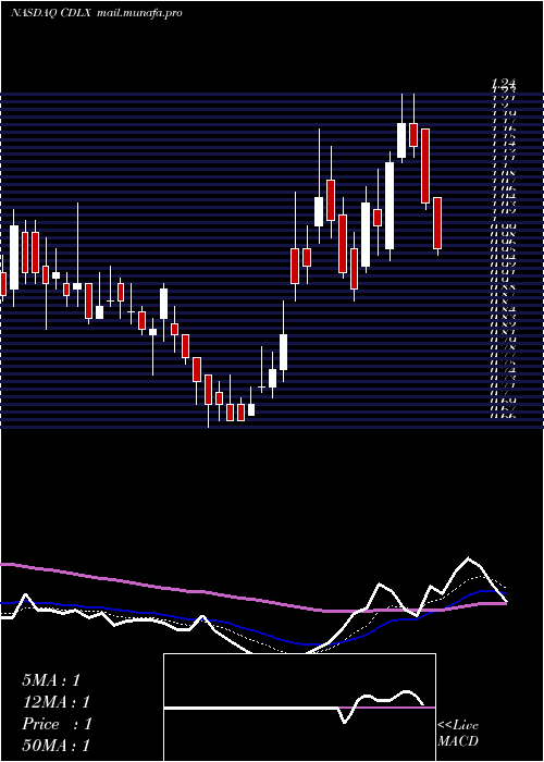  Daily chart CardlyticsInc
