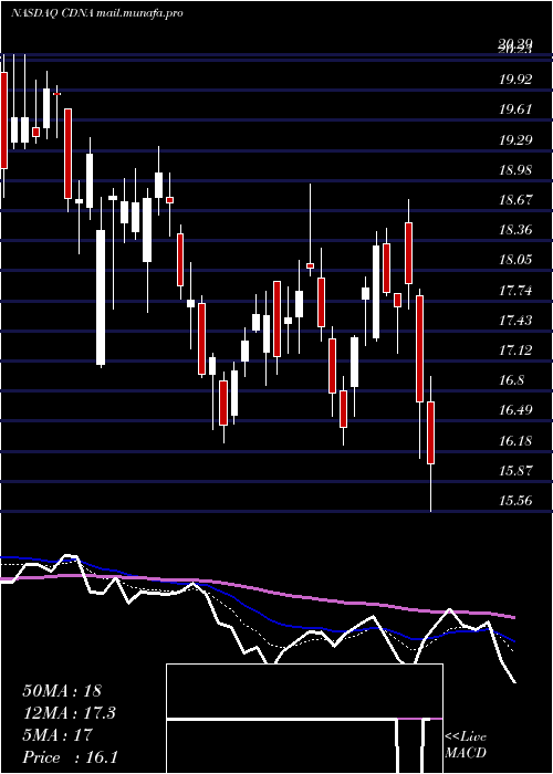  Daily chart CaredxInc