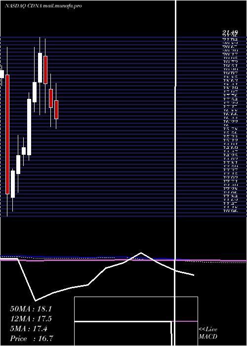 monthly chart CaredxInc