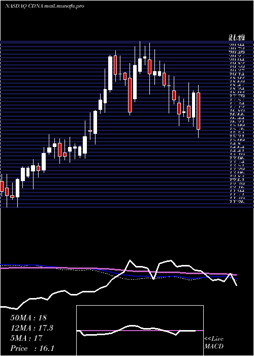  weekly chart CaredxInc