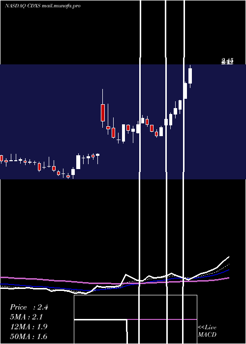  Daily chart CodexisInc