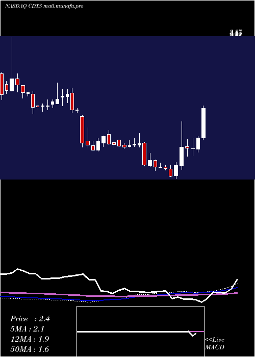  weekly chart CodexisInc