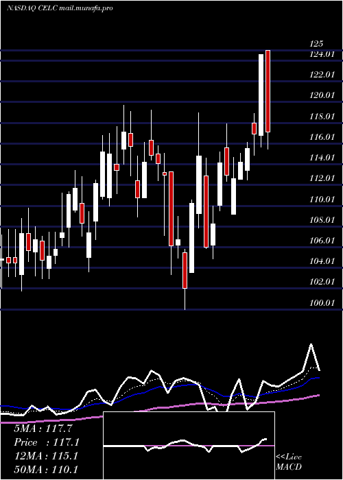  Daily chart CelcuityInc