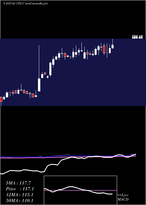  weekly chart CelcuityInc