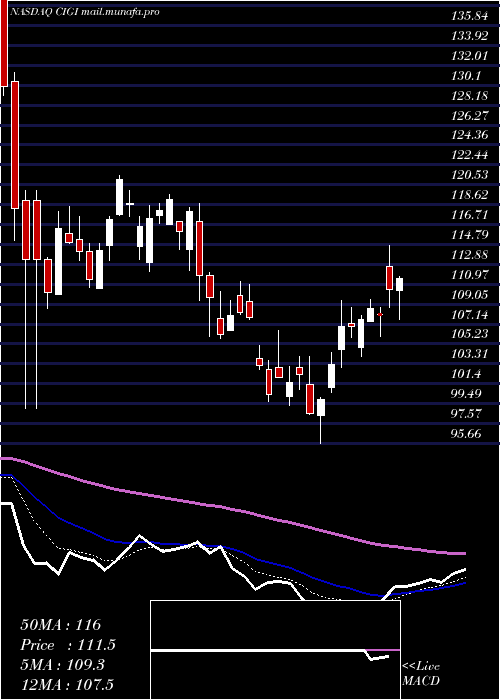  Daily chart ColliersInternational