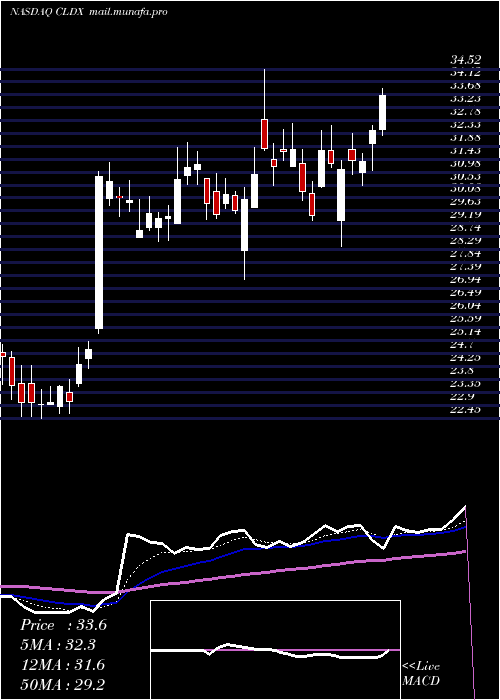  Daily chart CelldexTherapeutics