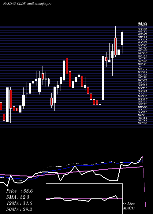  weekly chart CelldexTherapeutics