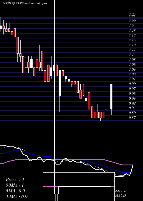  Daily chart ClpsIncorporation