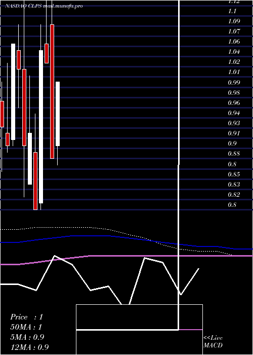  monthly chart ClpsIncorporation